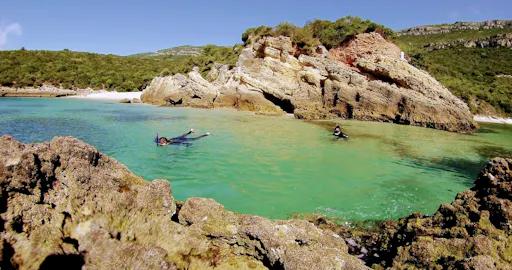 fareharbor-getstoked|284591-565664