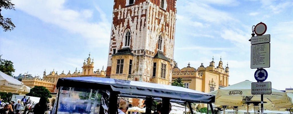Krakow Old Town sightseeing by golf cart and Wawel Castle guided tour