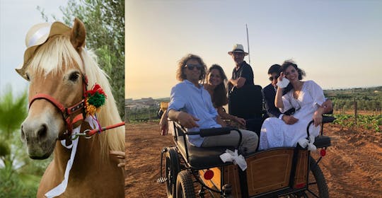 Horse carriage tour in the Sicilian countryside