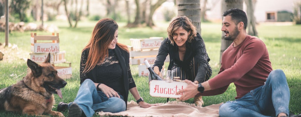 Winery tour and picnic at Bio Fattoria Augustali