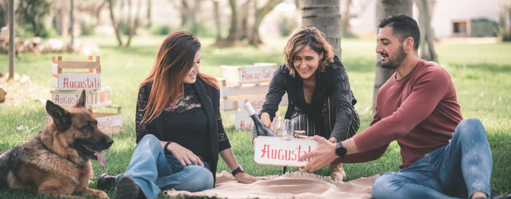 Weintour und Picknick in der Bio Fattoria Augustali