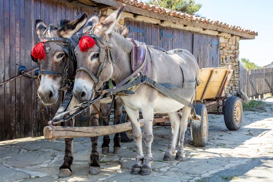 Hidden Bulgaria Tour from Obzor