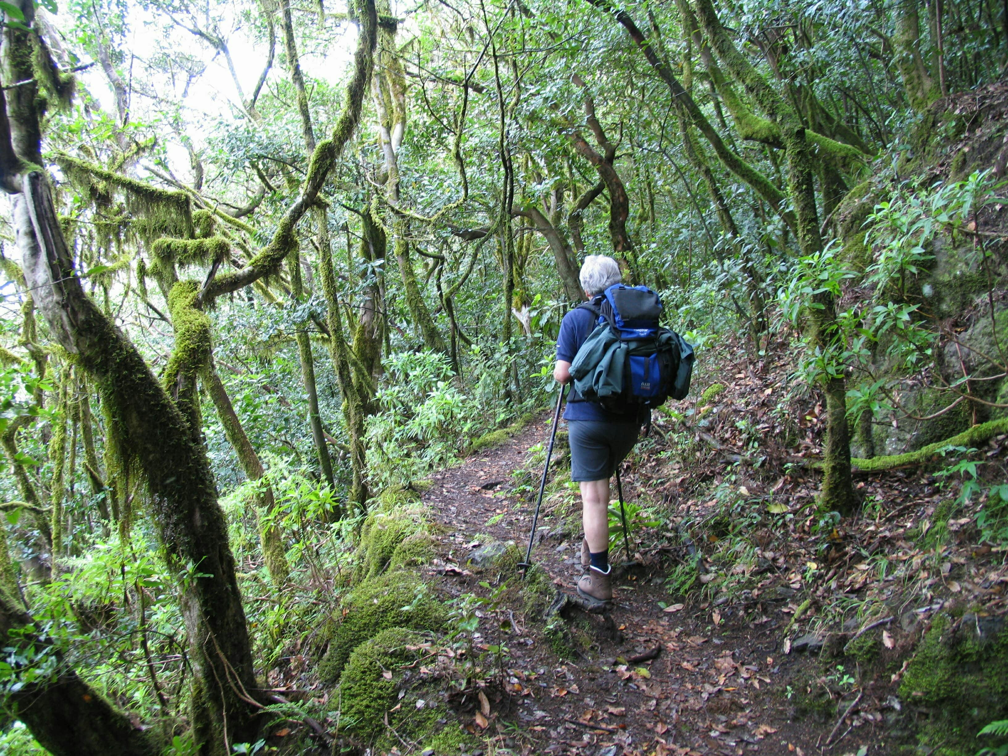 La Gomera Herb Hike