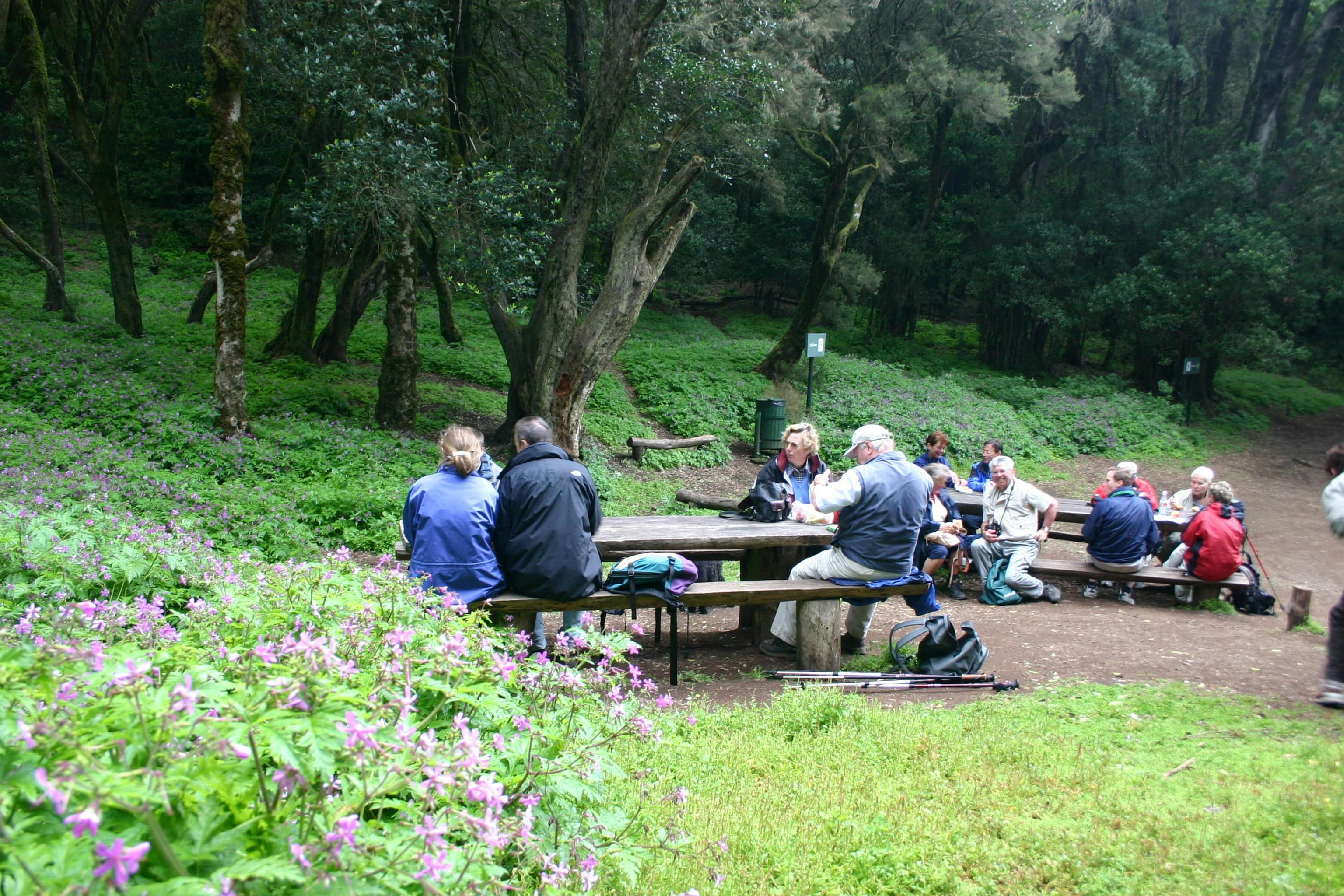 La Gomera Herb Hike
