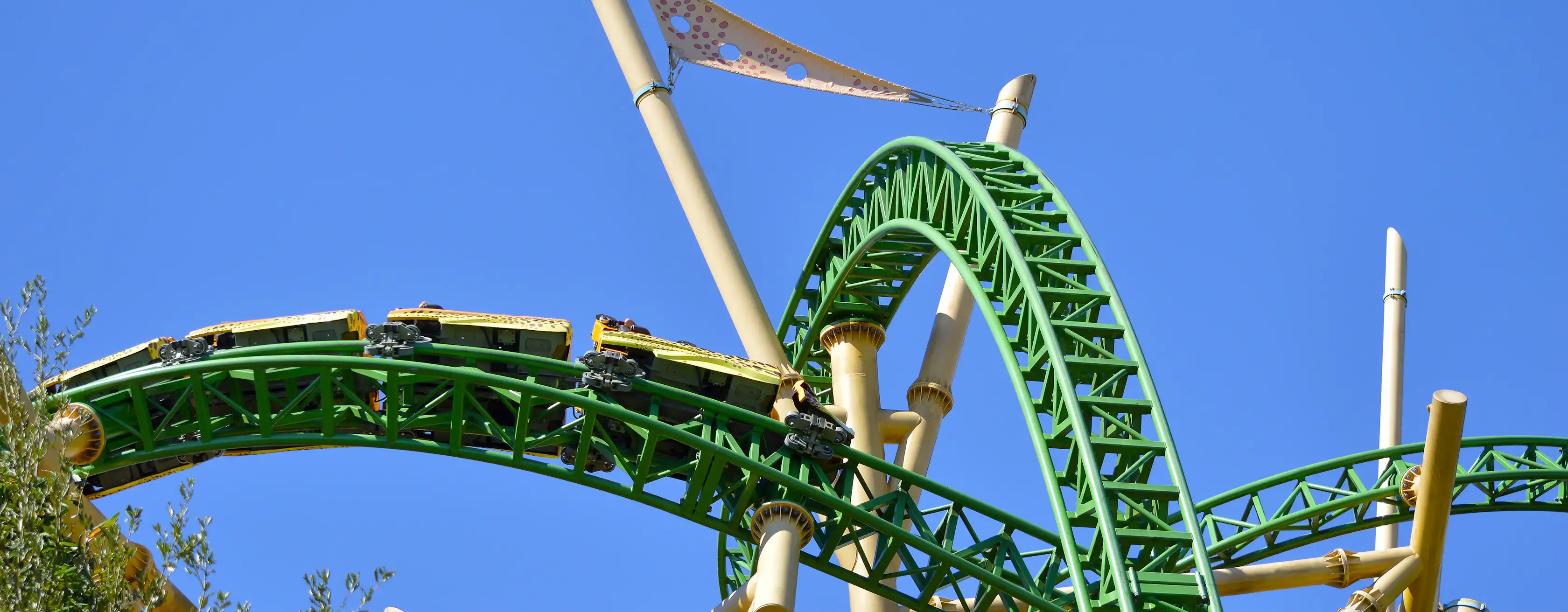 Busch Gardens Tampa Bay billetter og utflukter