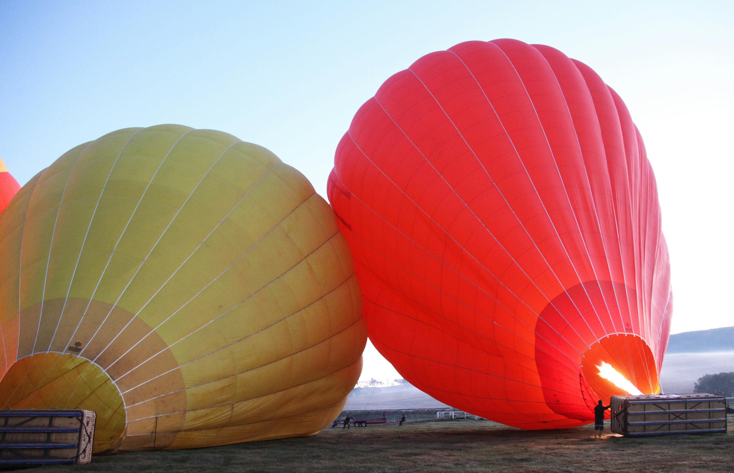Gold Coast classic ballooning and vineyard champagne breakfast Musement