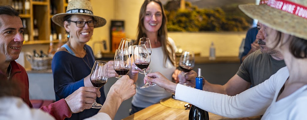 Experiência de degustação de vinhos Pic Saint-Loup para pequenos grupos