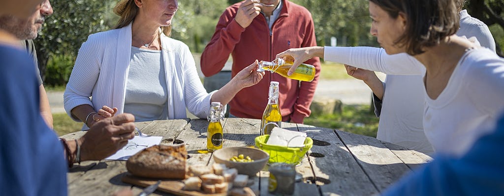 Languedoc wine and olive oil tour for small groups