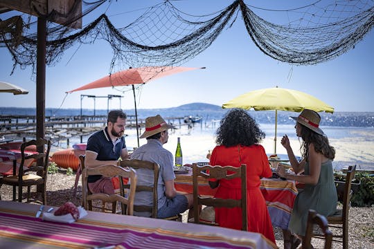 Visite de dégustation d'huîtres et de vins en petit groupe au départ de Sète