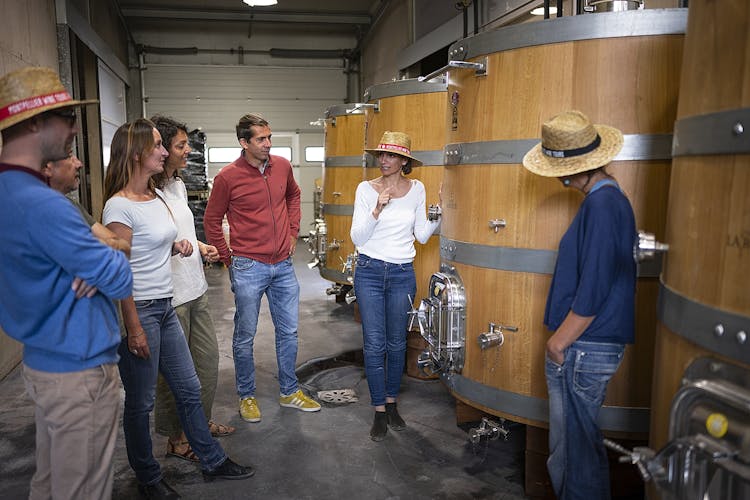 Small group tour of the wine châteaux in Montpellier