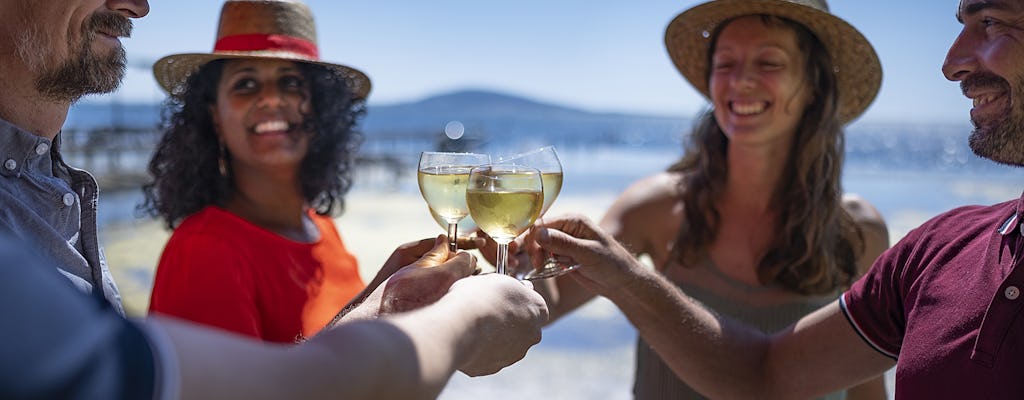 Oyster and wine tasting tour for small groups starting from Montpellier