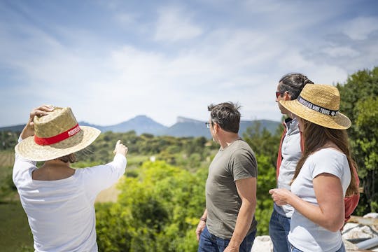 Private Pic Saint-Loup wine and olive oil tour