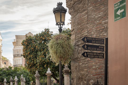 Ruta guiada por la Málaga Picassiana