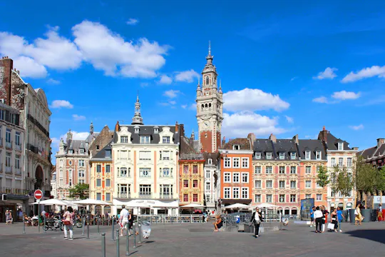 30-minute private tour in Lille by Citroën 2CV