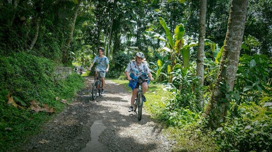 Matinée meilleure excursion à vélo à Bali