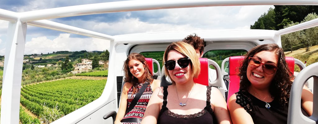Full-day Chianti wine tour by open-top minivan