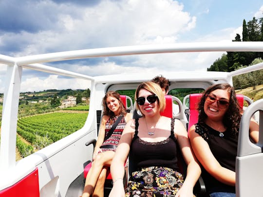 Full-day Chianti wine tour by open-top minivan