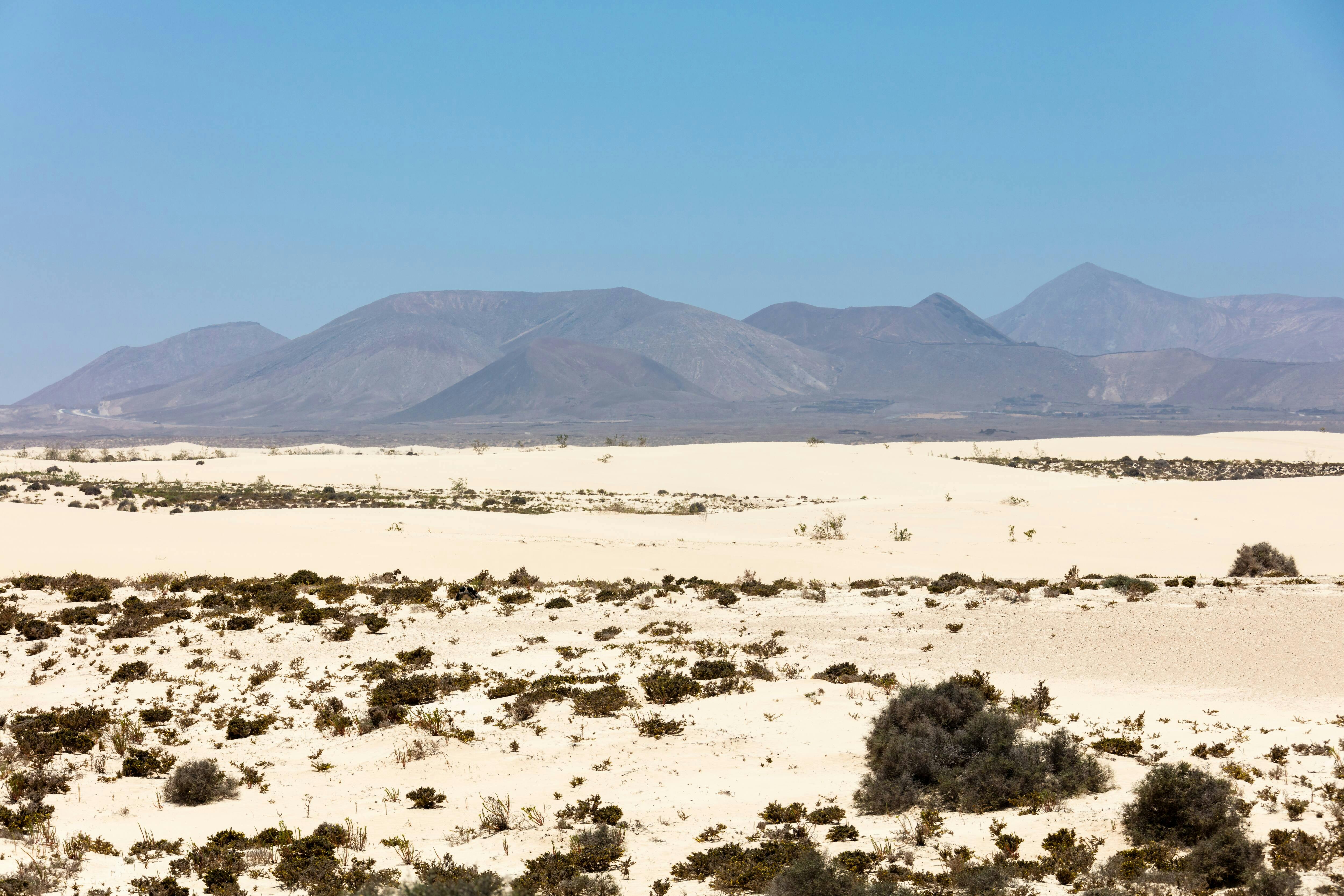 Fuerteventura Sand Dunes Visit Ticket