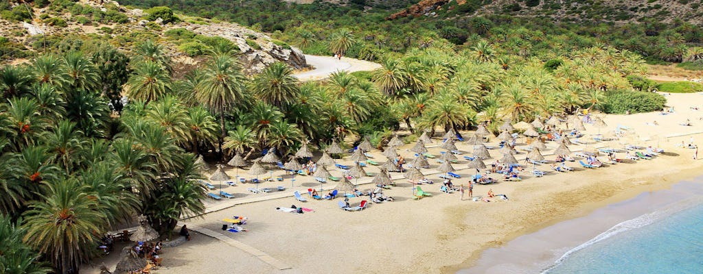 Sitia und Vai Palm Beach Tour von Südkreta aus