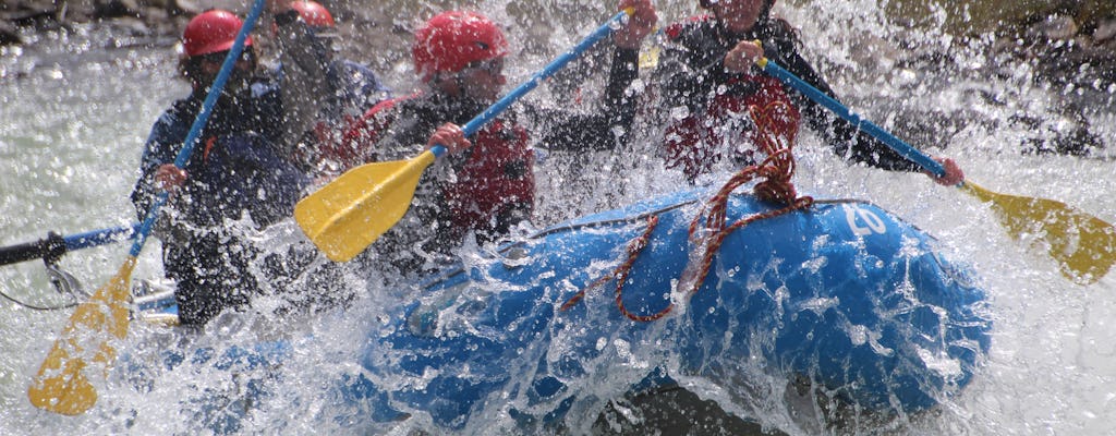 Aventura de rafting no rio Sunwapta com transporte