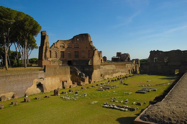Colosseum, Palatine Hill and Roman Forum guided tour with priority access