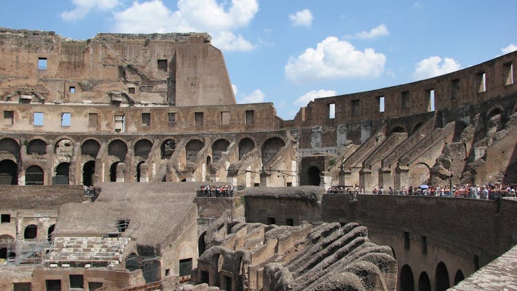 Colosseum, Palatine Hill and Roman Forum guided tour with priority access