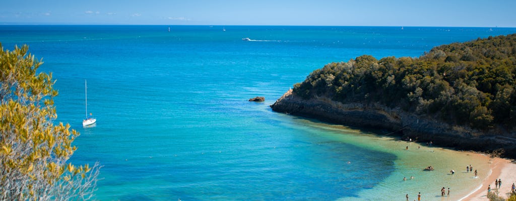 Tour di snorkeling di Arrábida e degustazione di vini da Lisbona