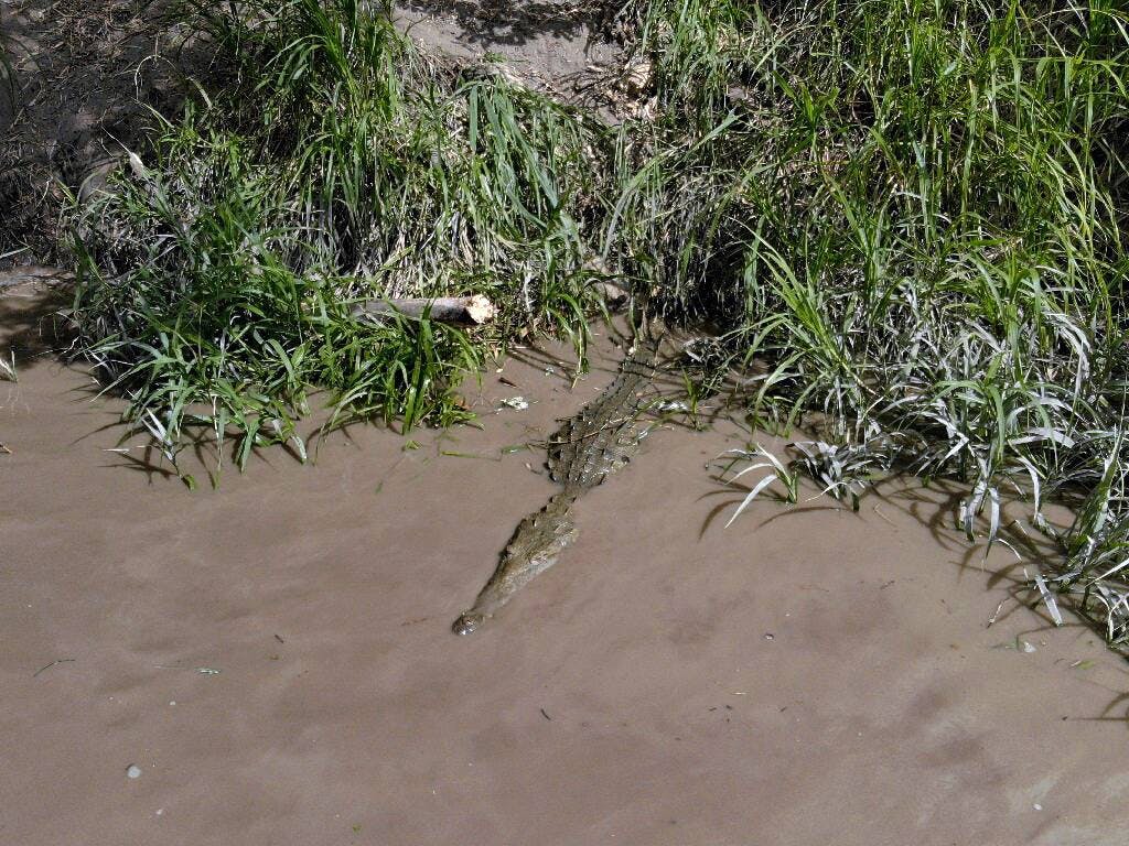 Palo Verde River Ride