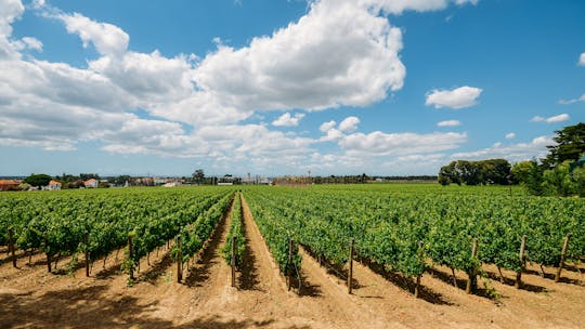Visite guidée au sud de Lisbonne avec dégustation de vin