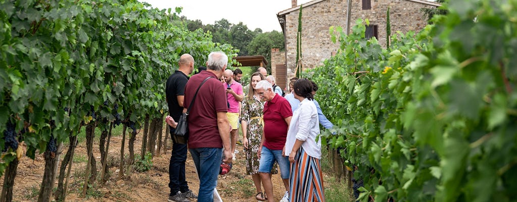Montepulciano and Montalcino guided tour with wine tasting