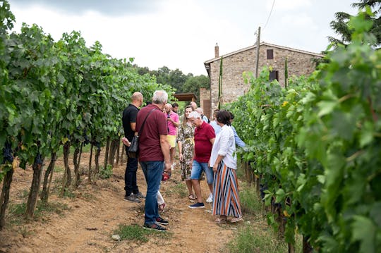 Visite guidée de Montepulciano et Montalcino avec dégustation de vin