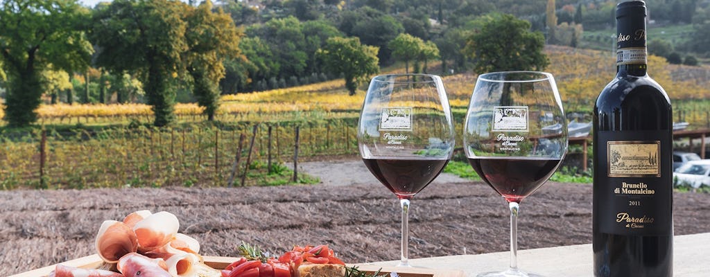 Tour por la tarde de Montalcino y Bagno Vignoni con degustación de vinos