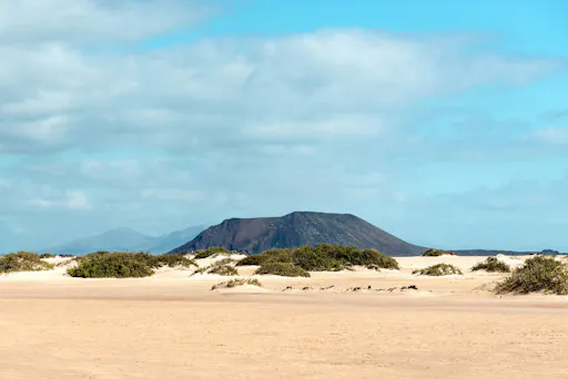 Lobos Island & Dolphin Watching Trip Ticket