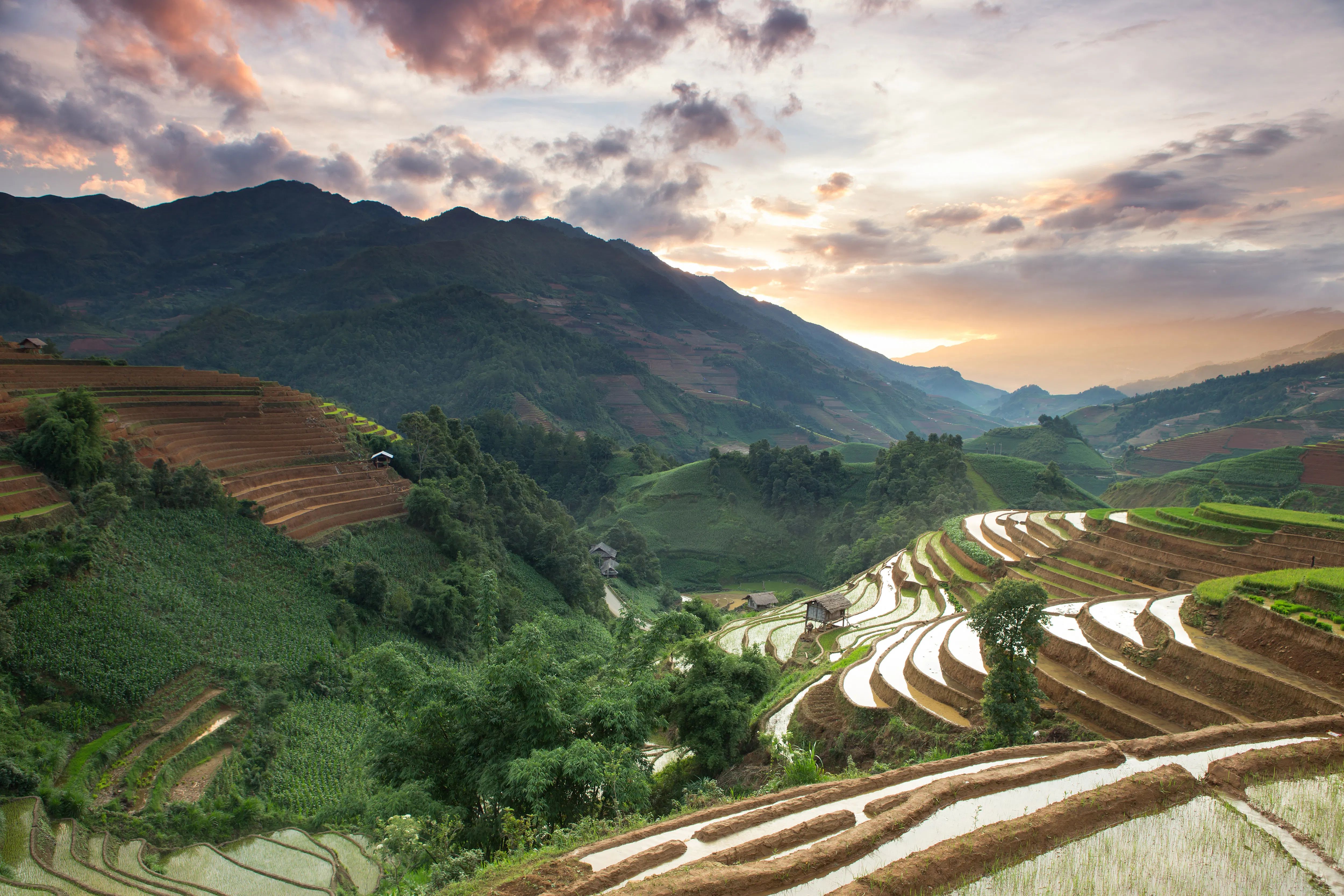 Dien Bien Phu