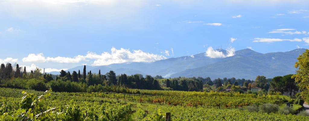 Senderismo y ruta del vino en Lucca
