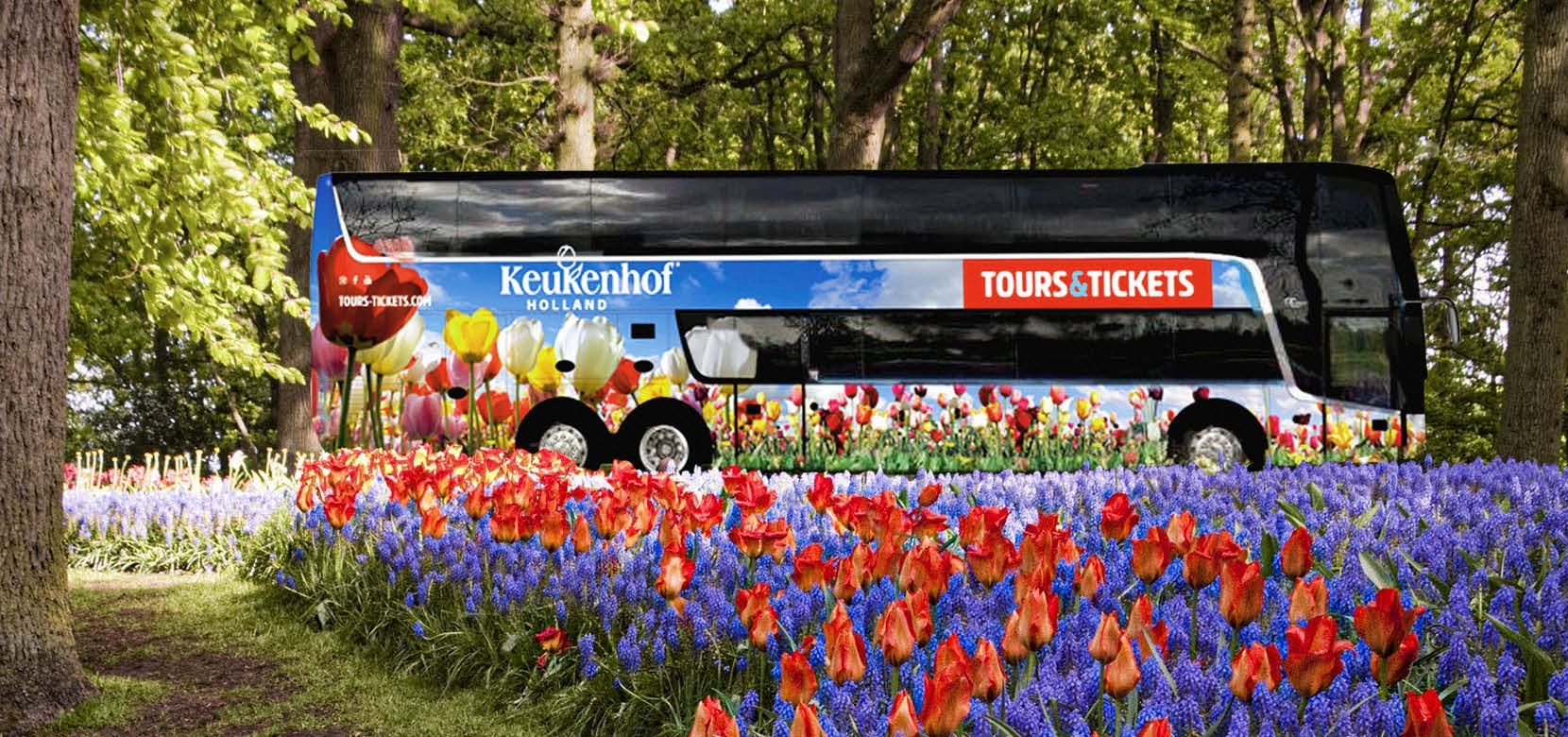 Skip-the-line Keukenhof ticket with transport from Amsterdam