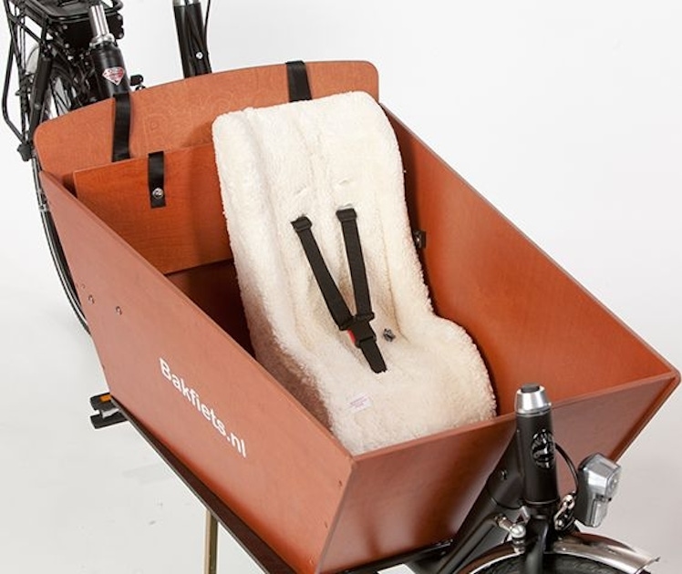 1day cargo bike rental in Amsterdam musement