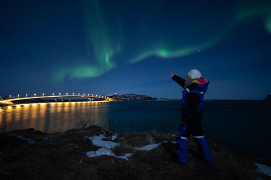 Caccia al tour privato dell'Aurora Boreale