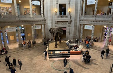Visite privée du musée d’histoire naturelle de Washington DC pour les familles