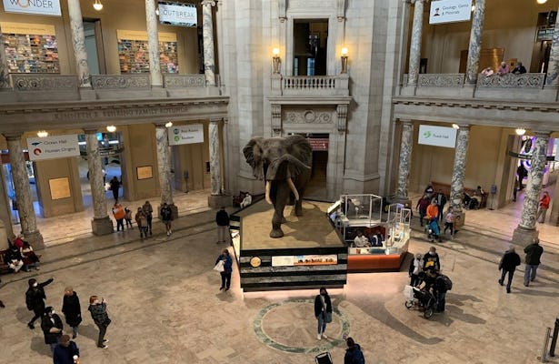 Visite privée du musée d'histoire naturelle de Washington DC pour les familles