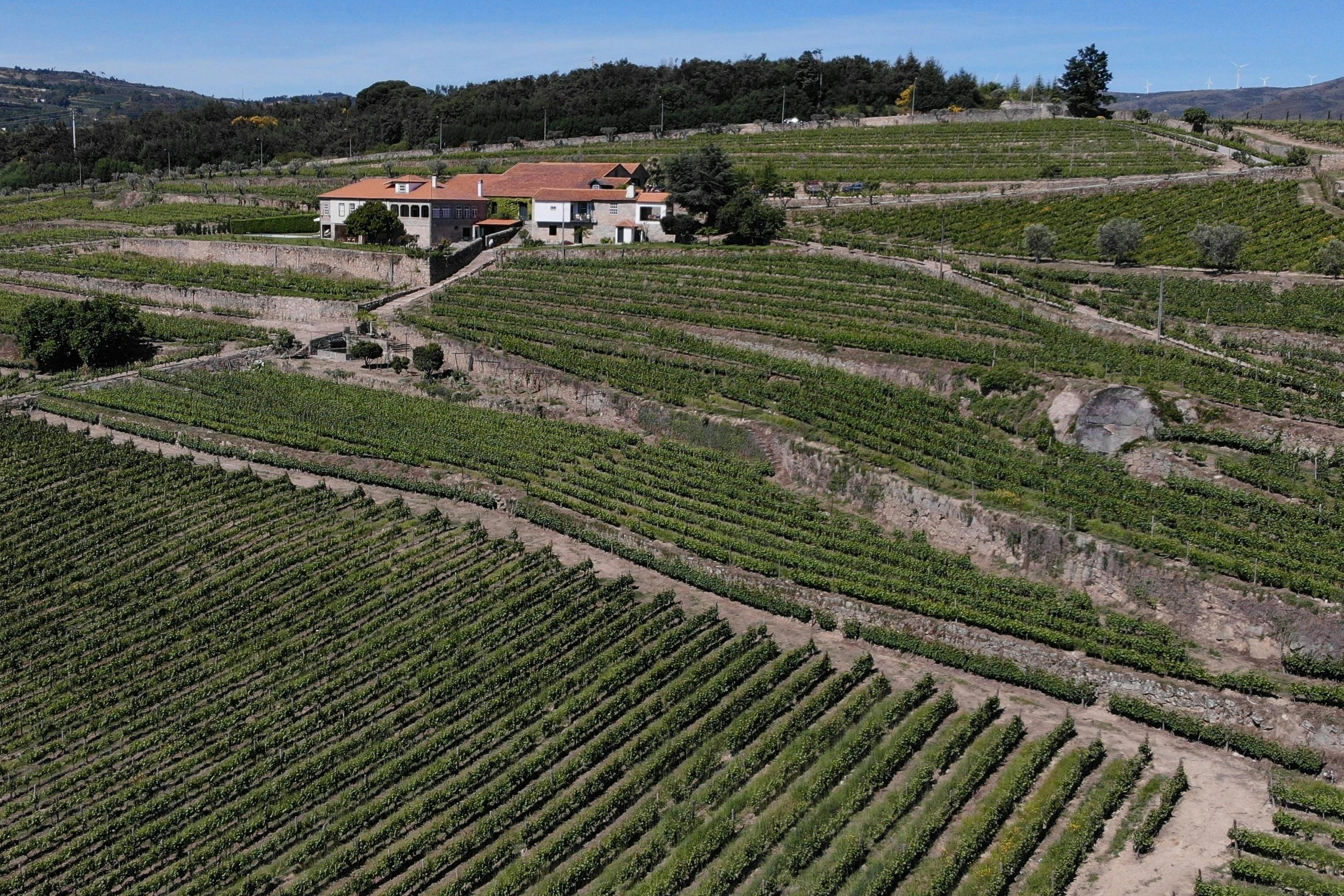 Wijnproeverij met rondleiding door wijnmakerij Quinta da Portela de Baixo