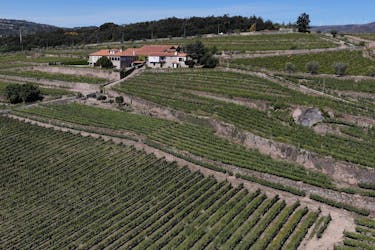 Experiencia de cata de vinos con visita a la bodega Quinta da Portela de Baixo.