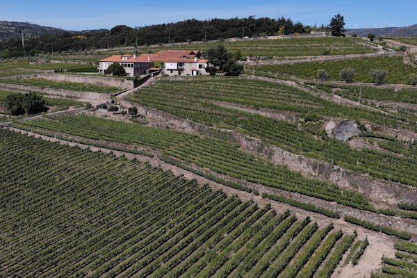 Weinverkostungserlebnis mit Besichtigung des Weinguts Quinta da Portela de Baixo
