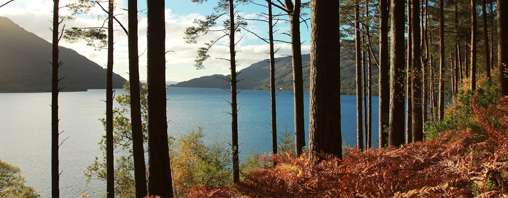 Excursión de un día al lago Lomond y whisky para grupos pequeños desde Glasgow