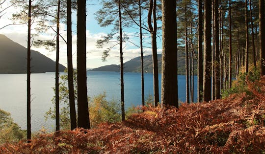 Excursão de um dia para grupos pequenos em Loch Lomond e uísque saindo de Glasgow