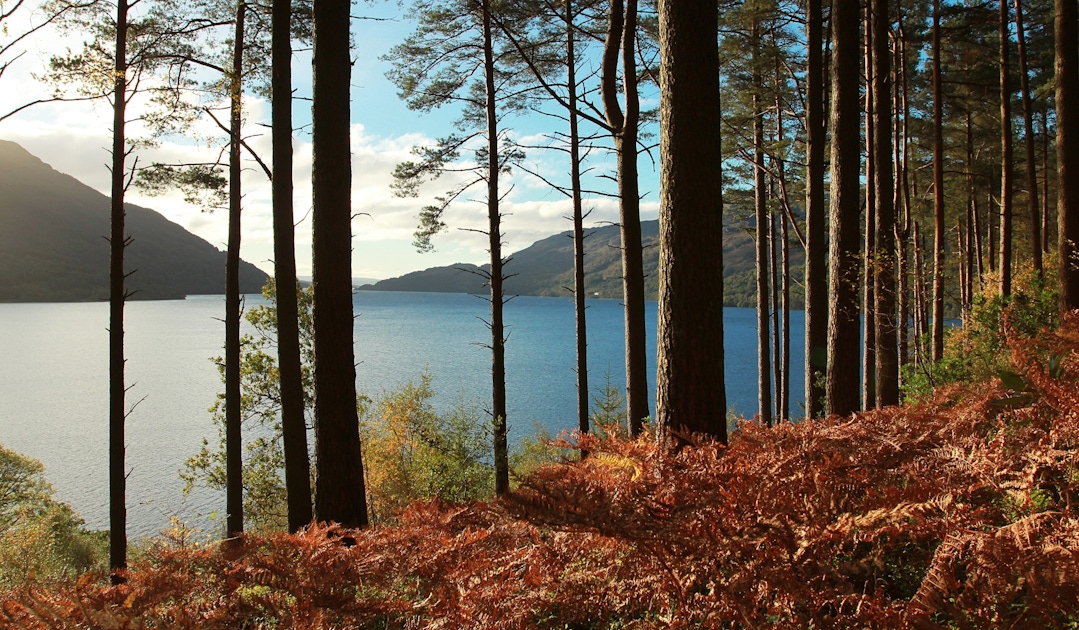 Glasgow Countryside Tours & Rural Day Trips Guide