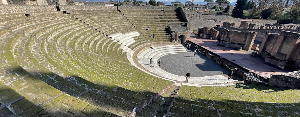 Pompeii tour in een kleine groep of privétour van de theaters tot de Tuin van de Vluchtelingen