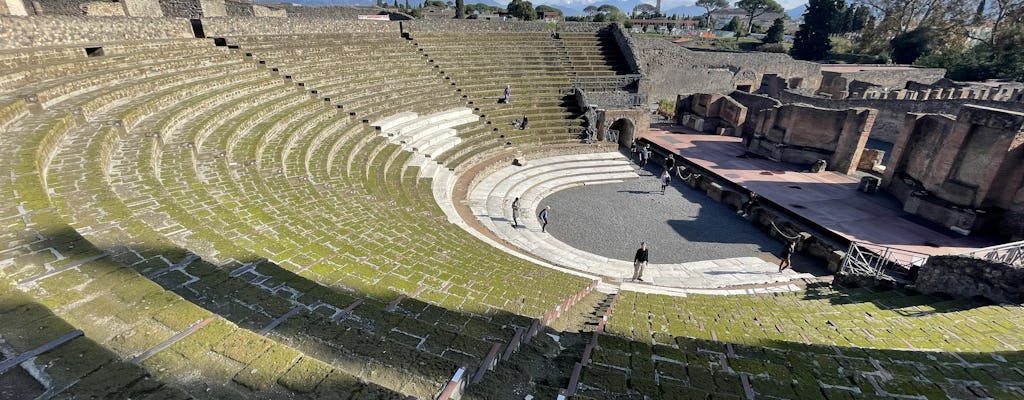 Pompeje w małej grupie lub prywatna wycieczka z teatrów do Ogrodu Uciekinierów