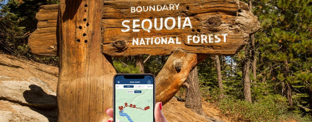 Tour autoguidato del Parco nazionale di Sequoia e Kings Canyon