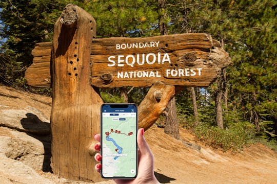 Tour autoguidato del Parco nazionale di Sequoia e Kings Canyon